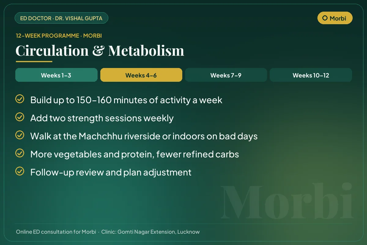 Weeks 4–6 of the 12-week erectile dysfunction programme for Morbi patients: circulation & metabolism
